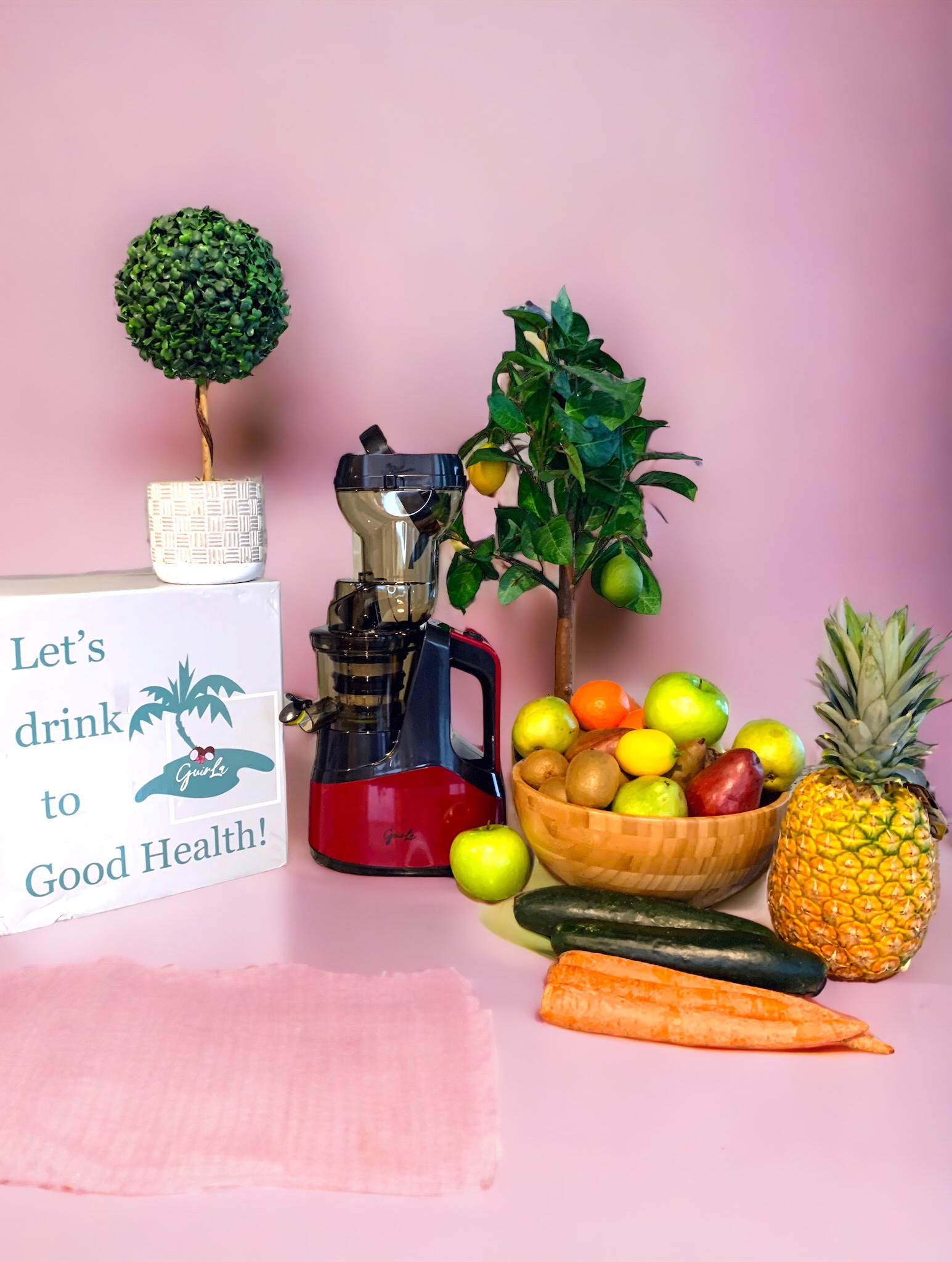 GUIRLA Premier Cold Press Juicer